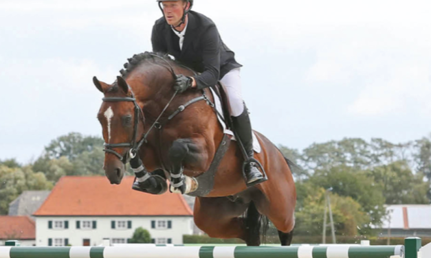 Hetzel Horses: Eine Top Adresse – nicht nur für Springreiter